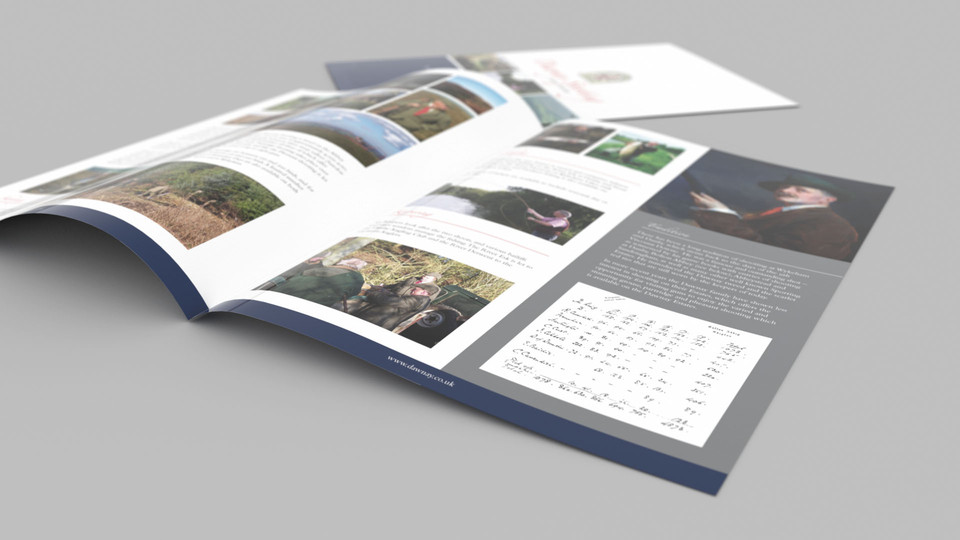 Dawnay Estates Sporting Brochure Design