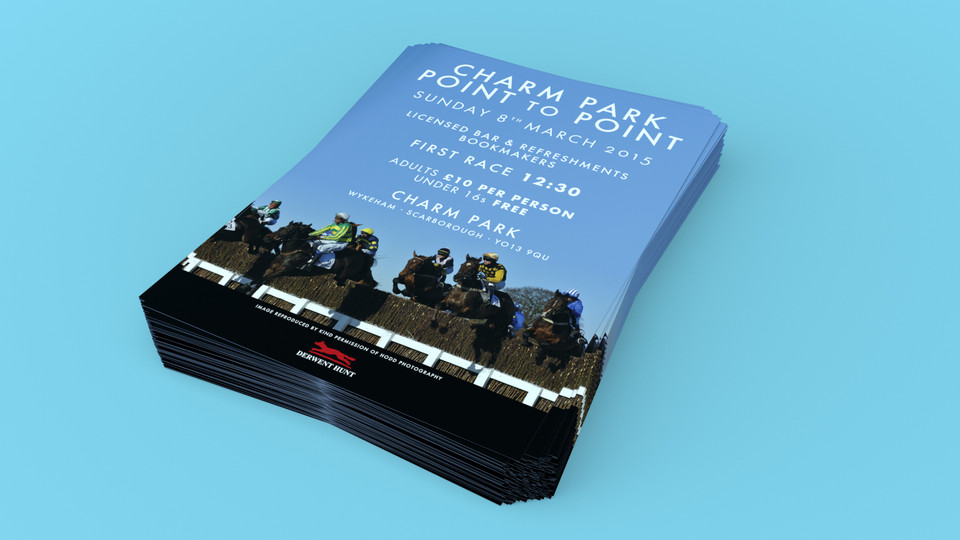 Derwent Point-to-Point Poster Design